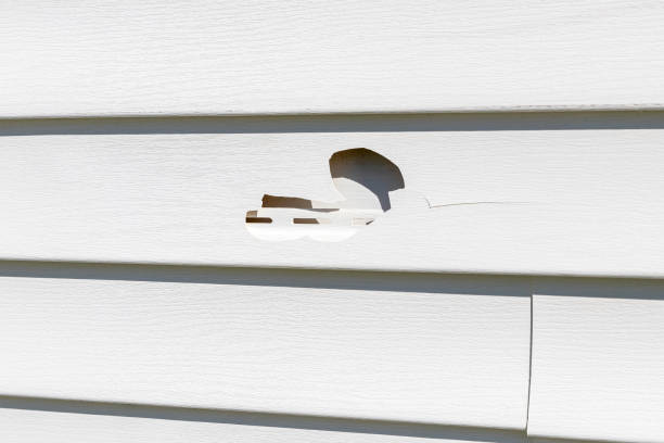 Custom Trim and Detailing for Siding in Ocean Park, WA